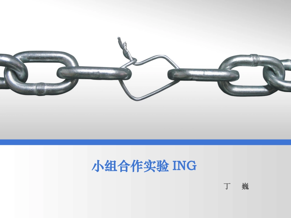 小组合作的实验_第1页