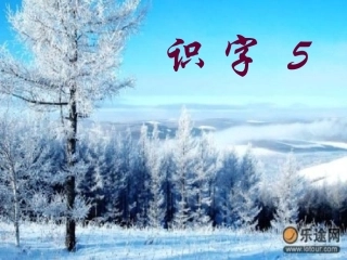 识字5第一课时