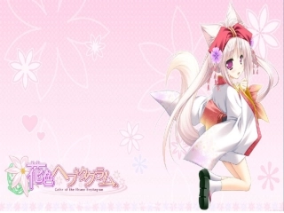 演示文稿1花色