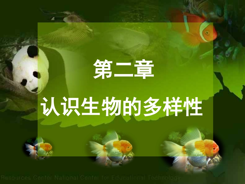 认识生物多样性_第1页