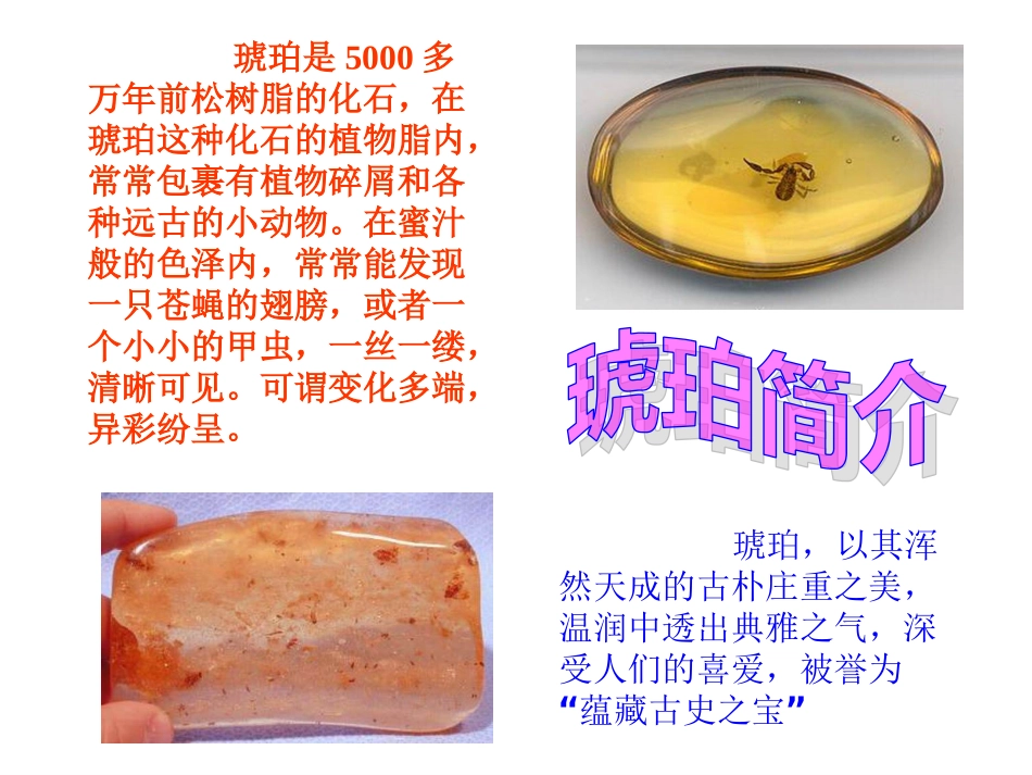 《琥珀》课件_第3页