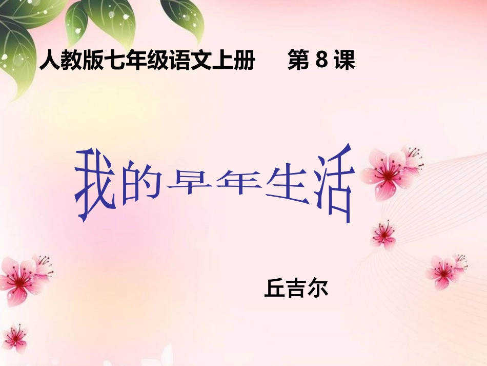 第8课我的早年生活_第1页