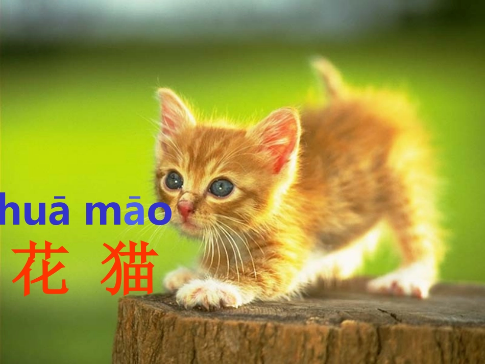 第三板块aoouiu课件 (2)_第3页