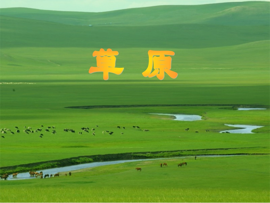草原 (6)_第2页