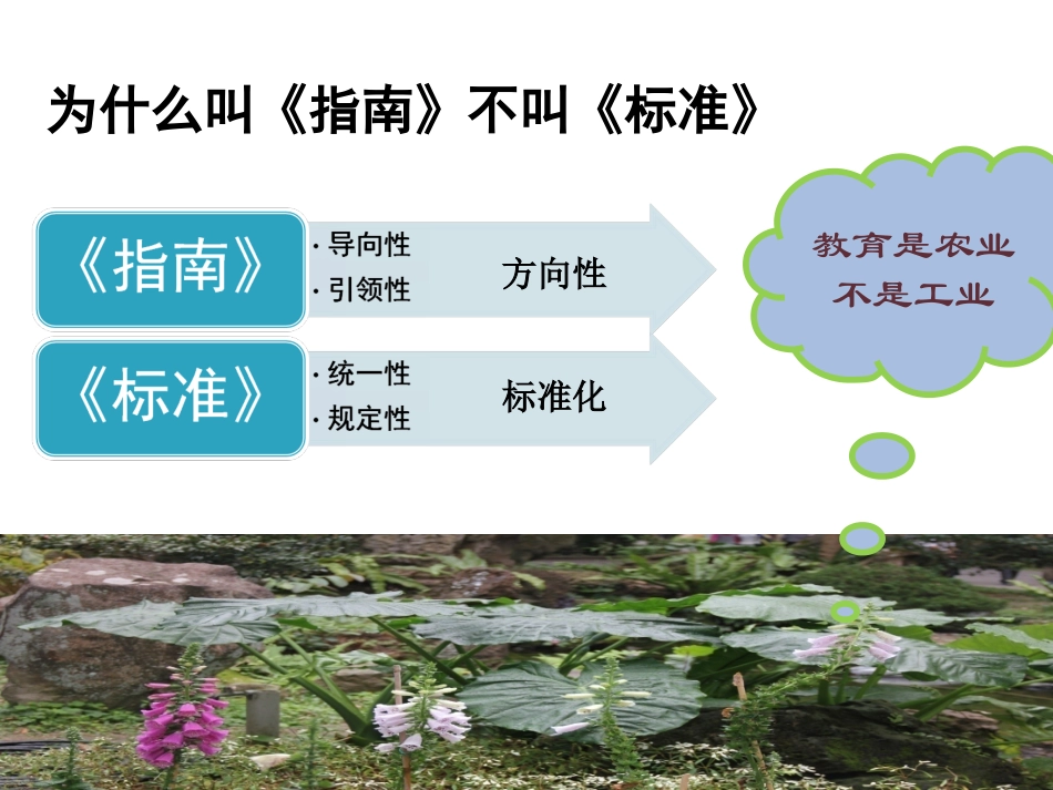 3-6岁儿童学习与发展指南_第3页