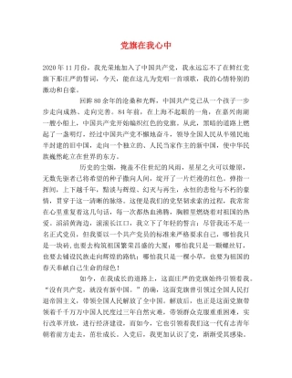 党旗在我心中 