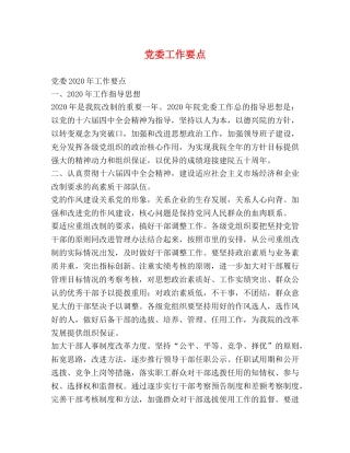 党委工作要点 