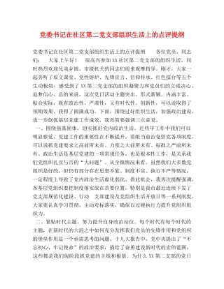 党委书记在社区第二党支部组织生活上的点评提纲 