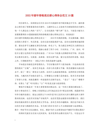 20XX年猪年春晚观后感心得体会范文10篇 