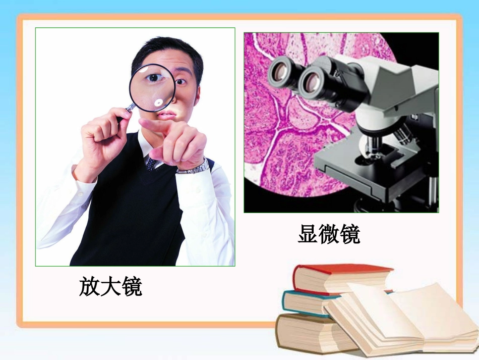 《图形的放大与缩小》教学课件1_第2页