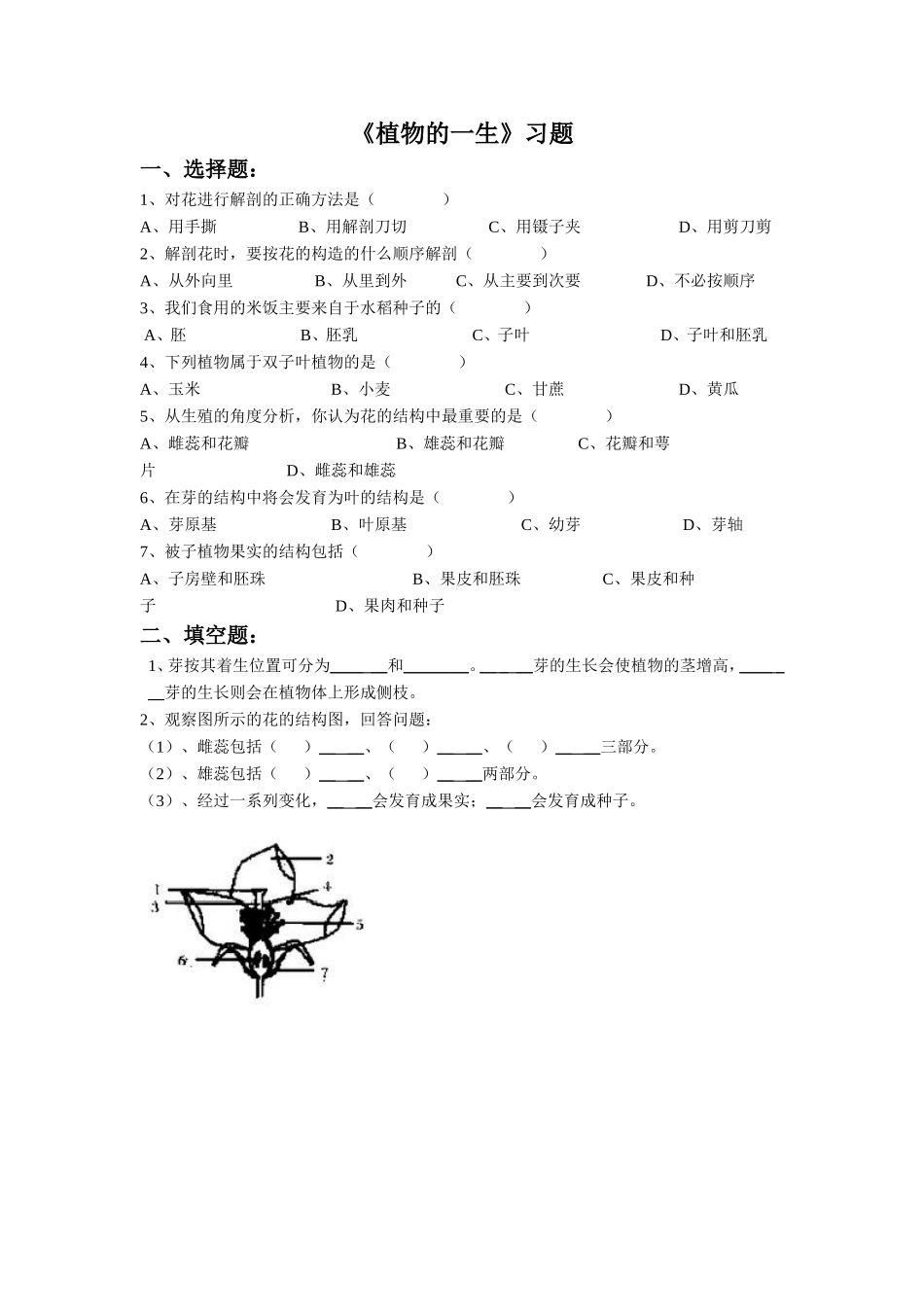 《植物的一生》习题_第1页