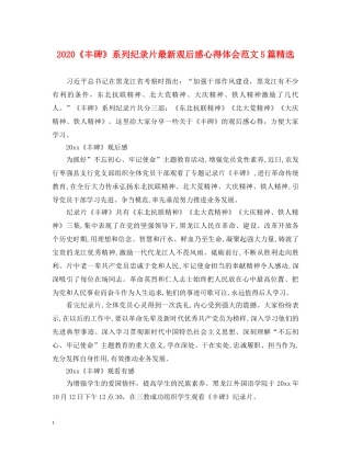 2024《丰碑》系列纪录片最新观后感心得体会范文5篇精选 