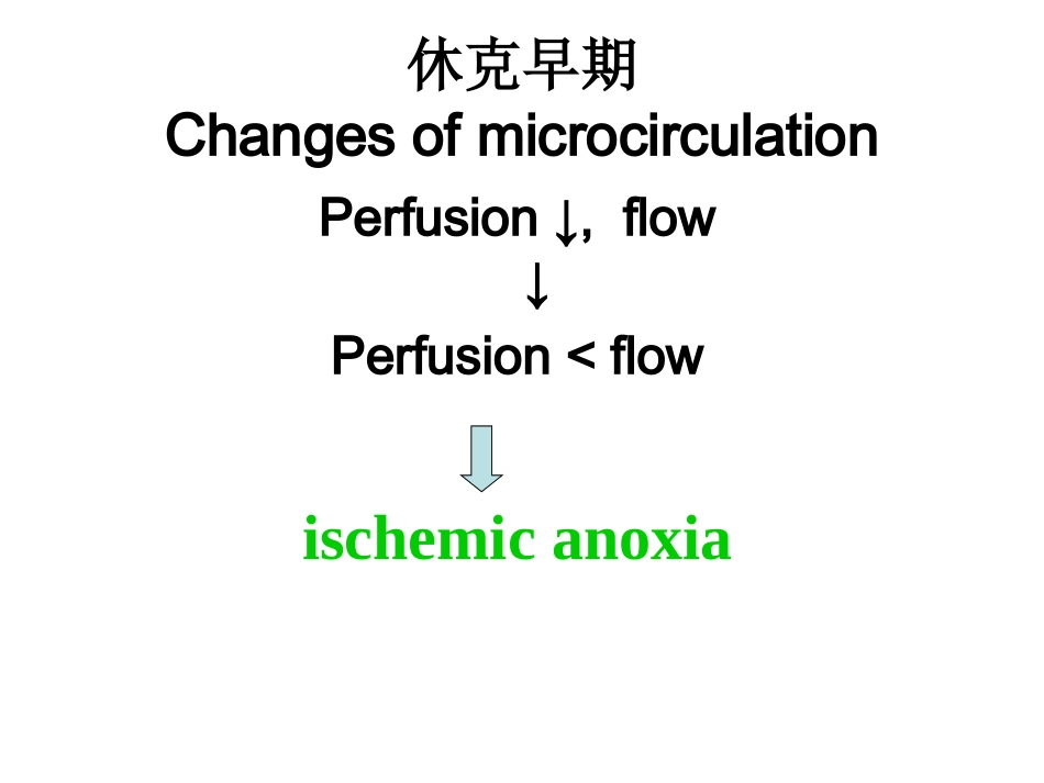 休克补充幻灯_第2页
