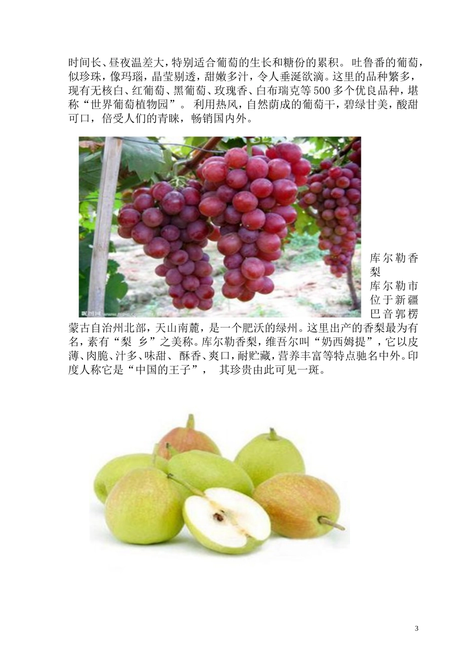 朱月丽《家乡特产知多少》_第3页