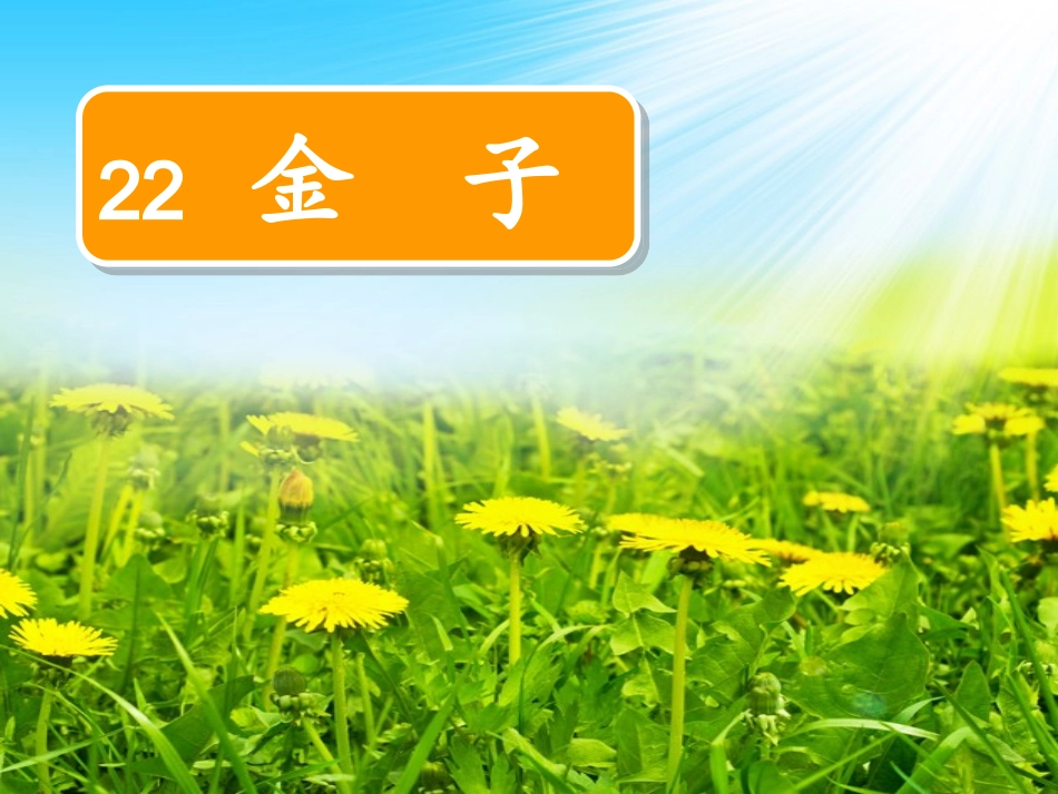 22、金子._第1页