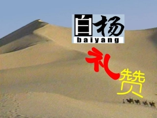 《白杨礼赞》——马静