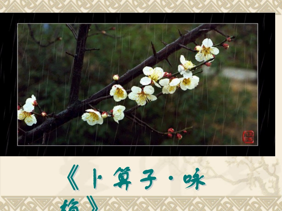 卜算子---咏梅_第3页