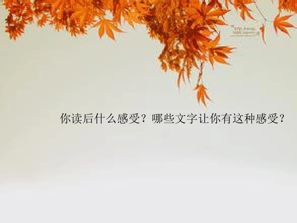 秋天的怀念.ppt2_第3页