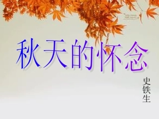 秋天的怀念.ppt2