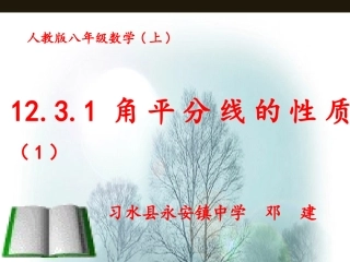 11.3.1角平分线的性质