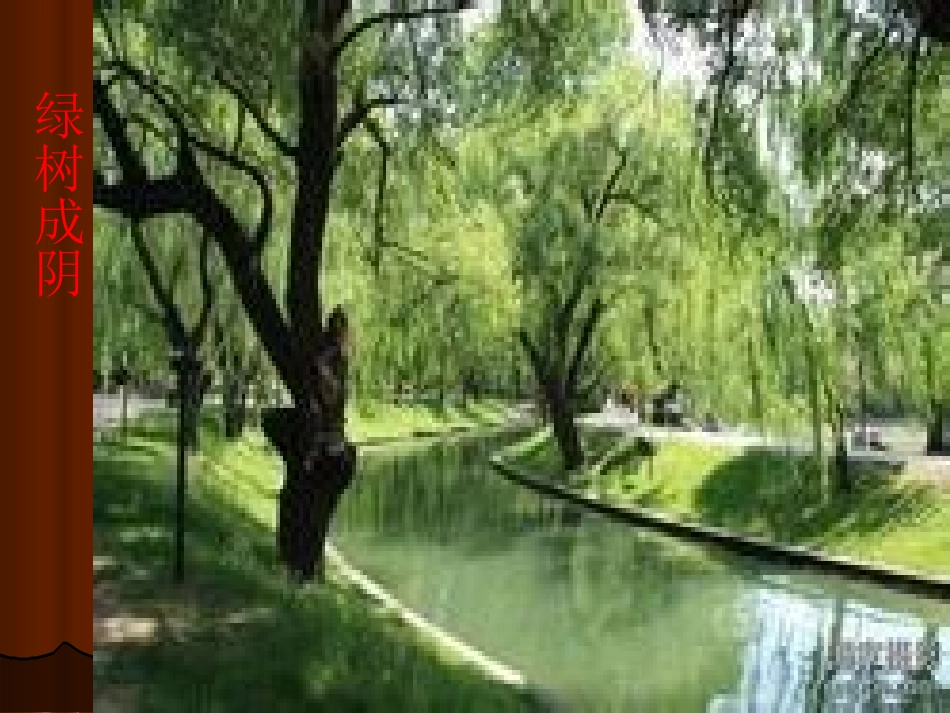 巨人的花园教学课件PPT_第3页