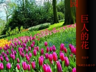 巨人的花园教学课件PPT