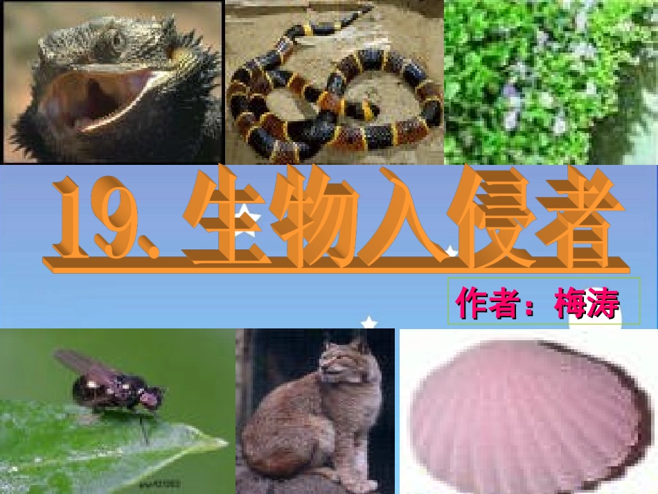 慕灵芝《生物入_第1页