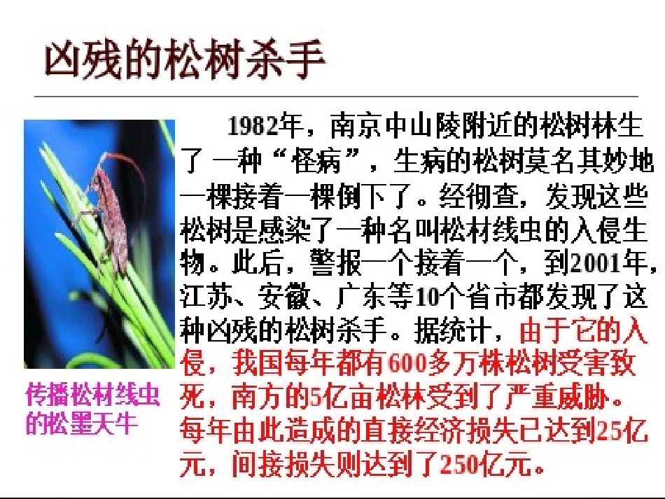 慕灵芝《生物入_第2页