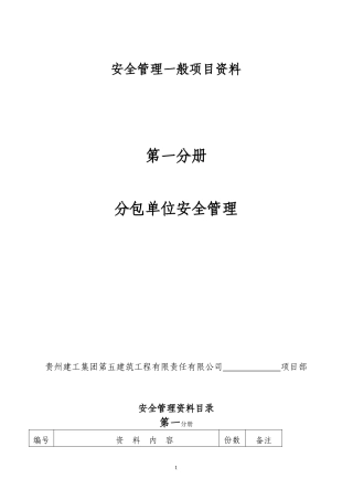 第一分册分包单位安全管理(7.10改)