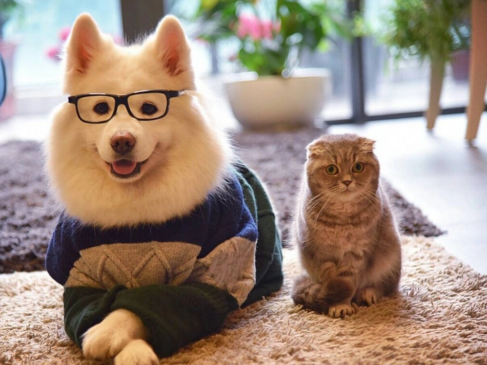 第四单元第十五课《松鼠-》_第1页