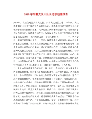 2024年刑警大队大队长述职述廉报告 