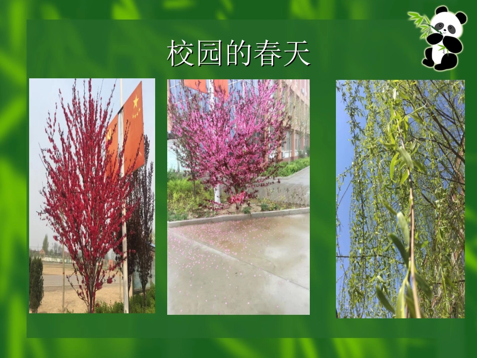 综合性学习--寻觅春天的踪迹_第3页