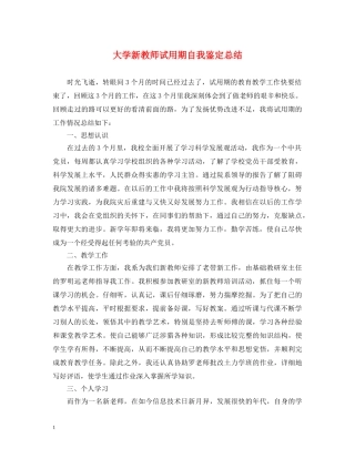 大学新教师试用期自我鉴定总结 