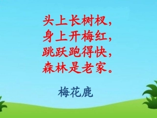 《比本领》教学课件