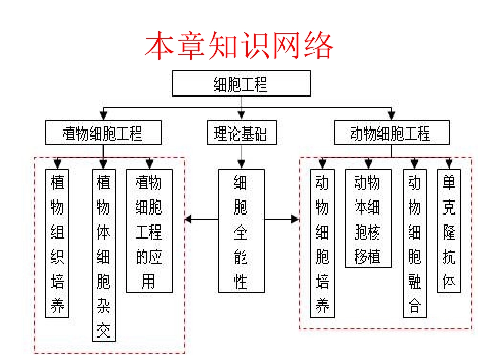金2.1.1植物细胞工程的基本技术_第3页