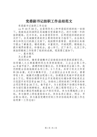 党委副书记挂职工作总结范文