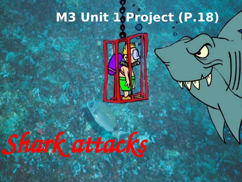 M3U1-Project_第2页