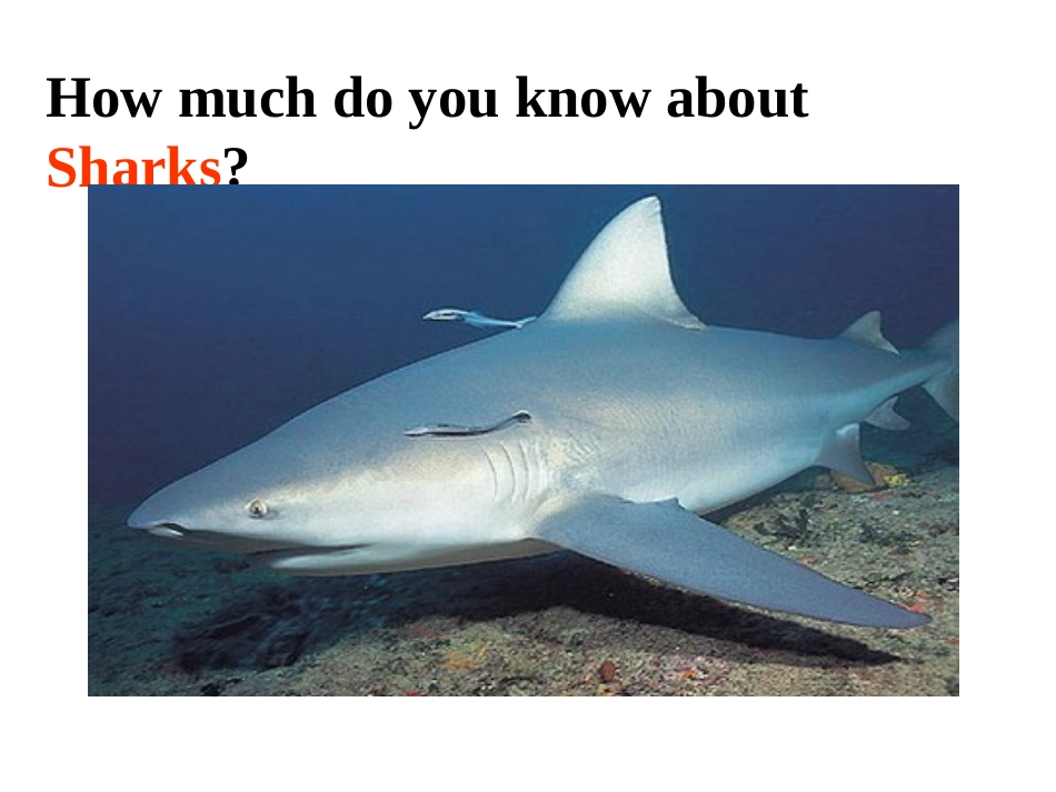 M3U1-Project_第3页