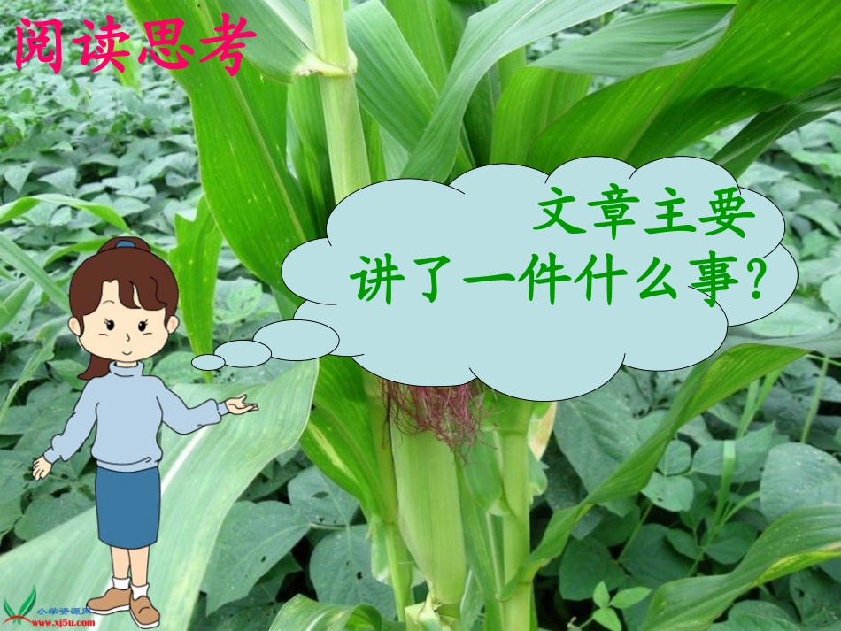 最棒的玉米._第2页