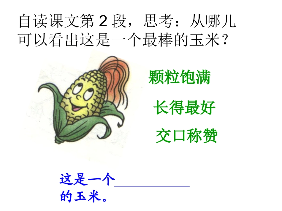 最棒的玉米._第3页