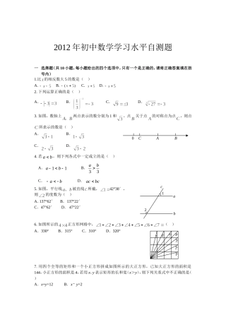 2012年初中数学学习水平自测题
