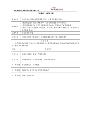 王美薇的个人研修计划