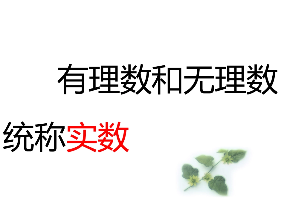 实数概念与分类_第1页