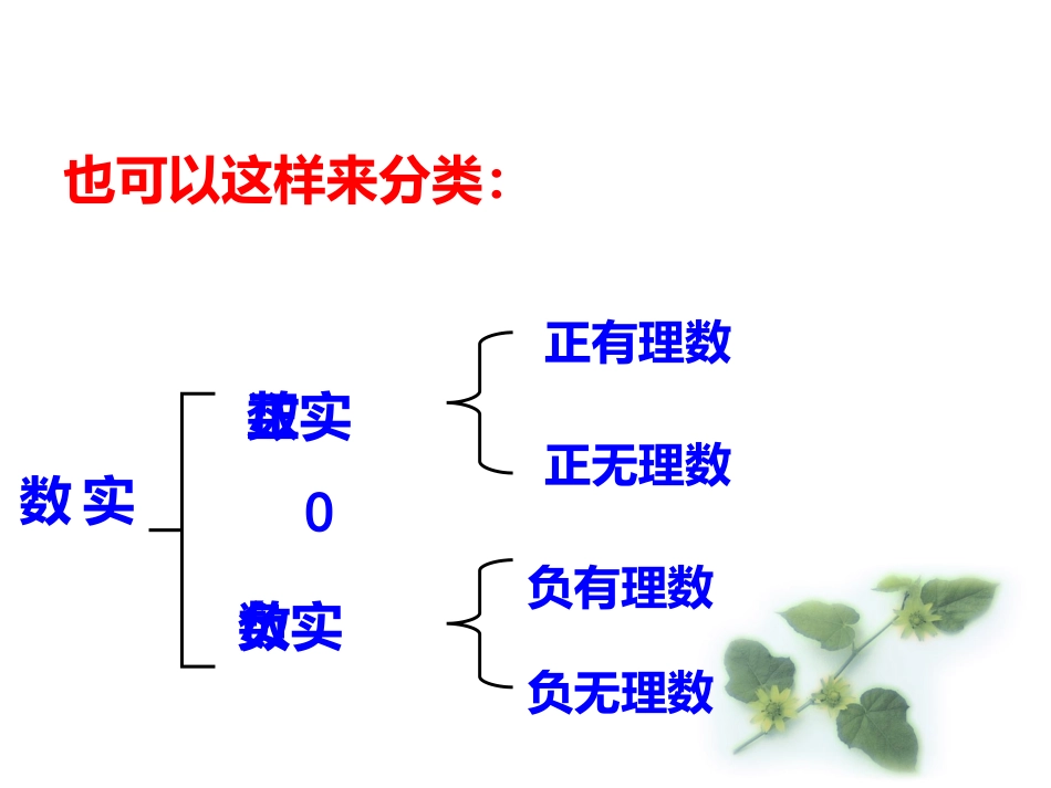 实数概念与分类_第3页