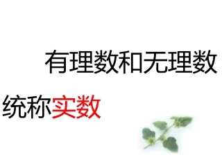 实数概念与分类