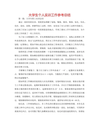 大学生个人实训工作参考总结 