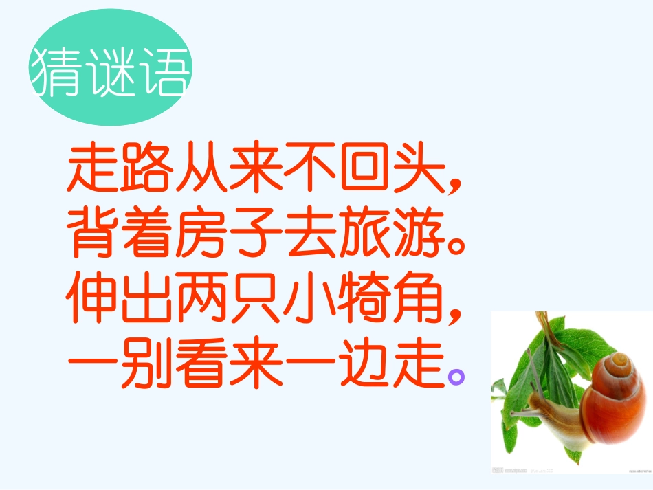 (部编)人教2011课标版一年级上册14、《小蜗牛》_第1页