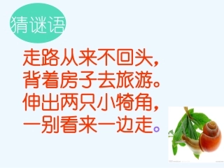 (部编)人教2011课标版一年级上册14、《小蜗牛》