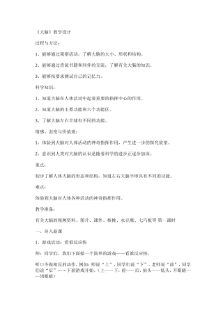 大脑教学设计