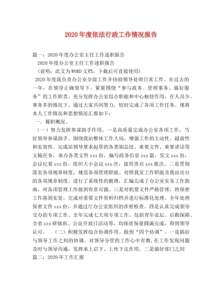 2024年度依法行政工作情况报告(1) 